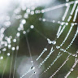 Meet your Posher, Kristi